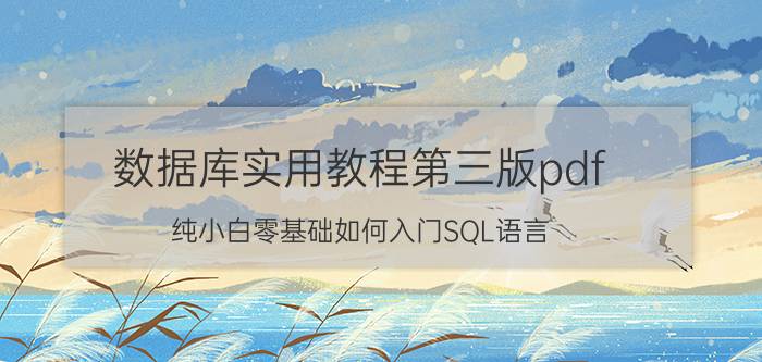 数据库实用教程第三版pdf 纯小白零基础如何入门SQL语言？